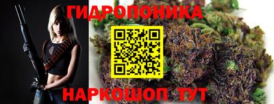 прущие грибы Лесосибирск