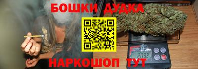 прущие грибы Лесосибирск